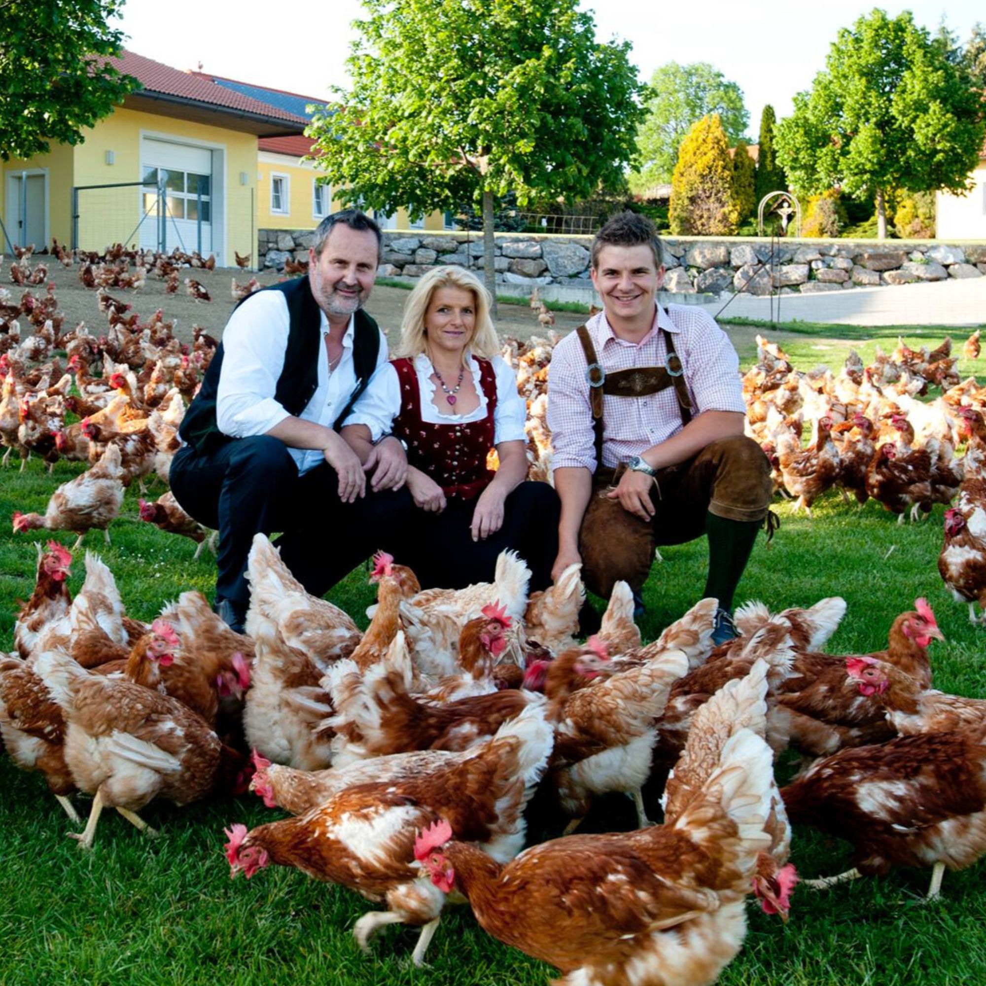 Landwirt mit Huhn auf dem Feld Landwirt mit Freilandhühnern im Südburgenland