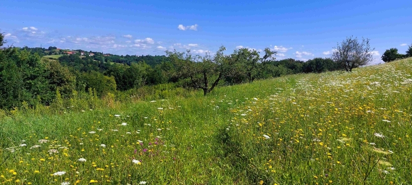 Obstgarten Natur Retreat