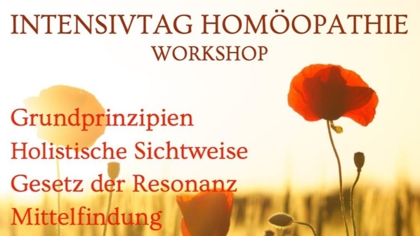 Hollistische Sichtweise