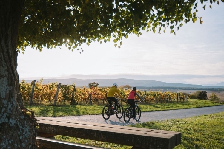 Radfahrer aus Graz im herbstlichen Südburgenland – Einkehren & Wohlfühlen im LandRastHaus Maria Bild