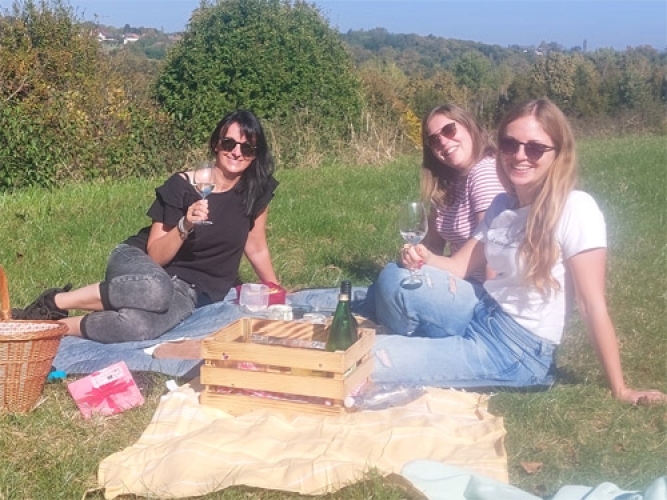 picknickimobstgarten